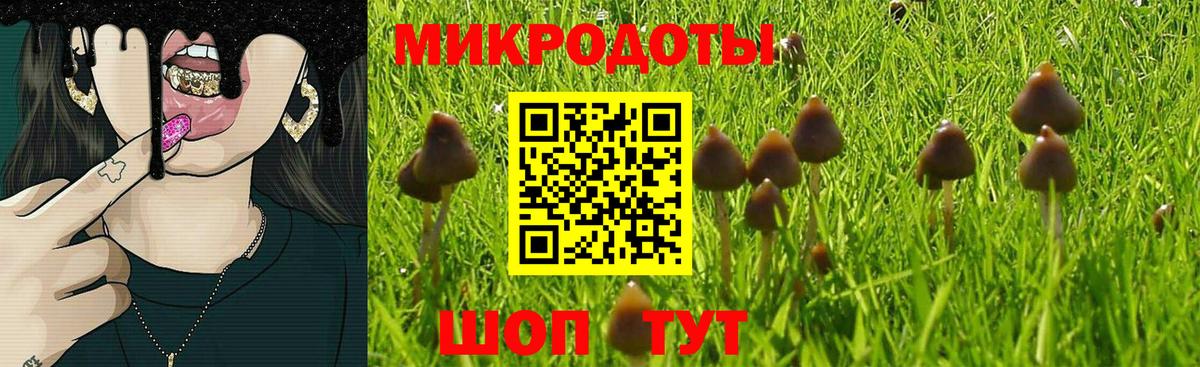 Нефтекамск  Псилоцибиновые грибы Psilocybe  Вход с VPN  Галлюциногенные грибы GOLDEN TEACHER 
